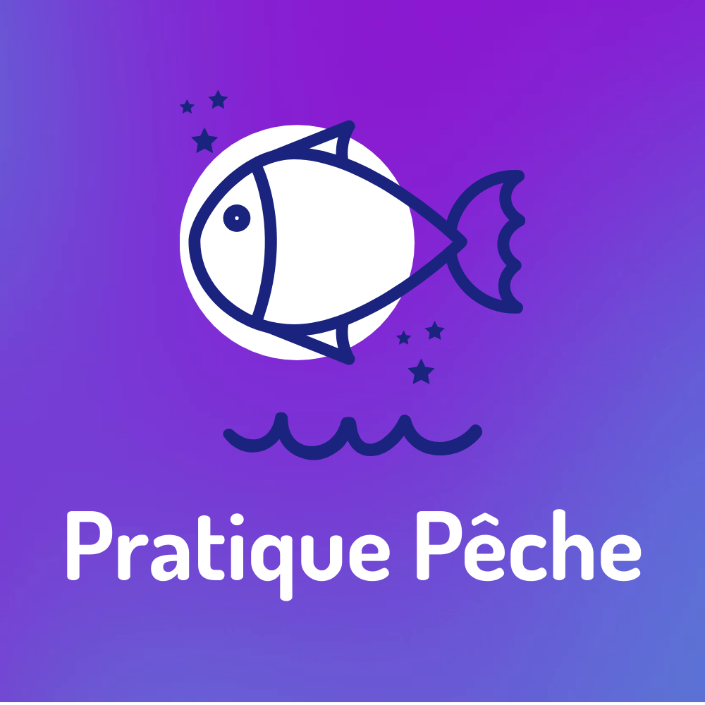 pratique-peche.com